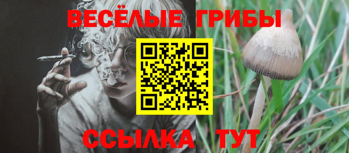 Псилоцибиновые грибы Psilocybine cubensis  где купить наркотик  Зеленодольск  Вход с VPN 